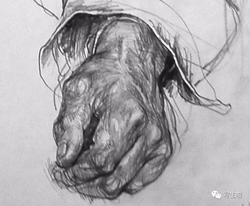 【写生啦】素描里的手