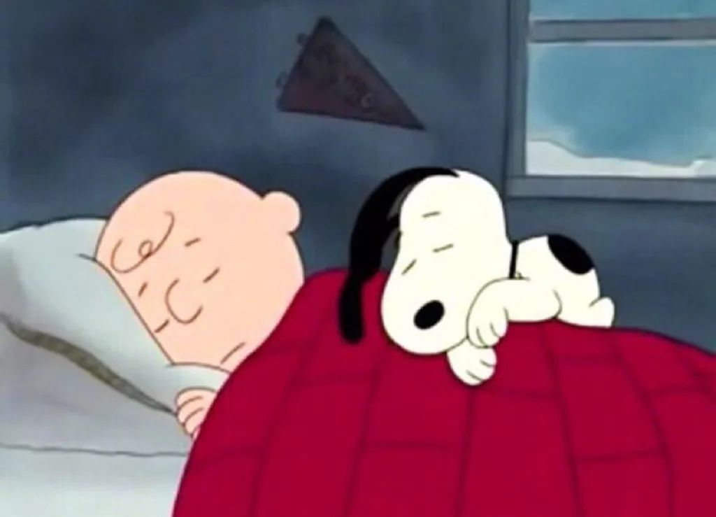 壁纸头像史努比晚安