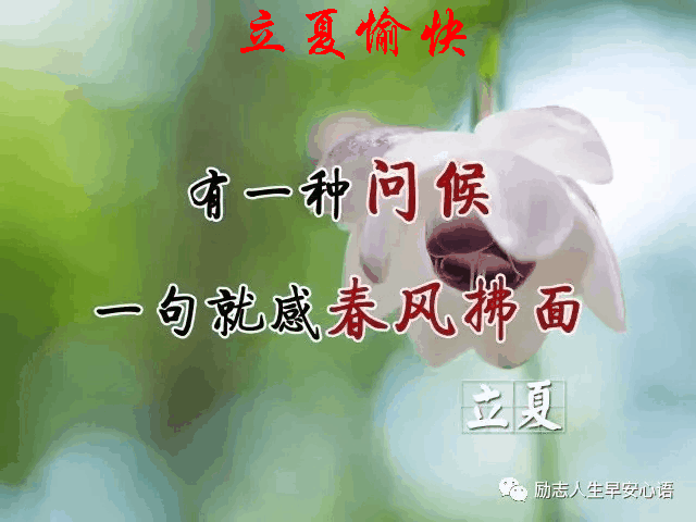 今日"立夏"把最美好的祝福送给您!