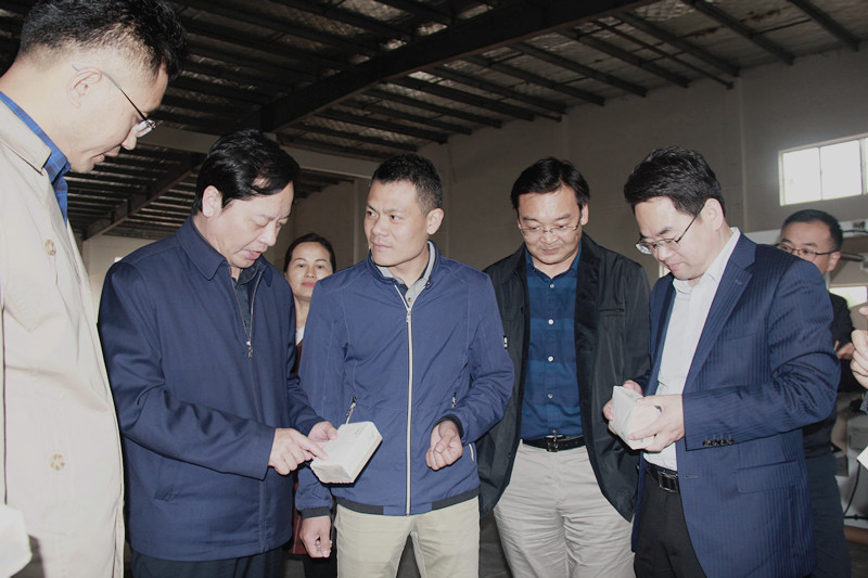 常德市政府副市长汤祚国现场督导重点亿元工业项目