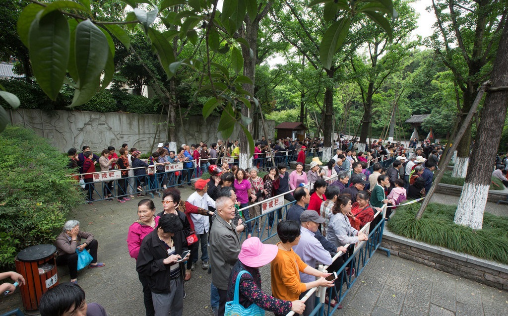 清晨 杭州上千人在公園裡排隊