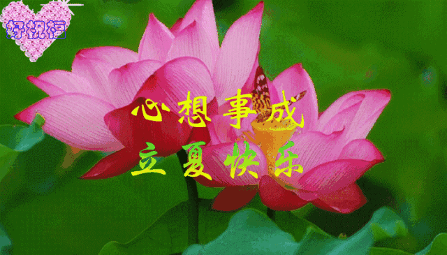 青春永驻,幸福一生愿收到问候的朋友第一个送给你最有朝气的祝福立夏