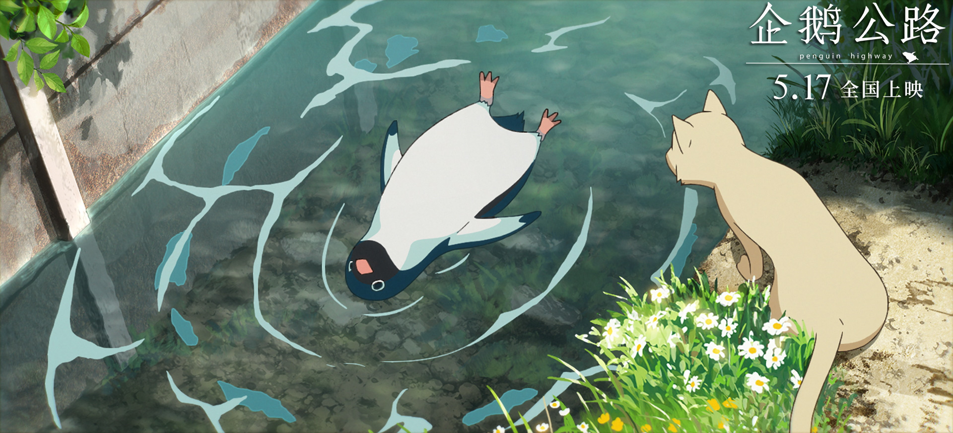 《企鹅公路》曝最新推广曲mv 陈粒暖心对话少年成长离别