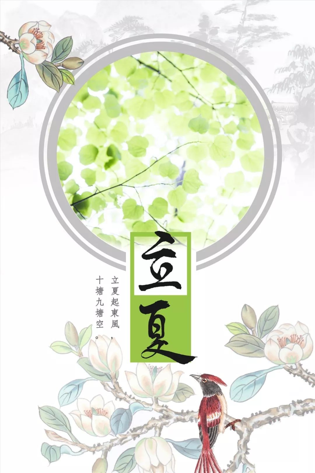 立夏低眉春已逝抬头夏伊始