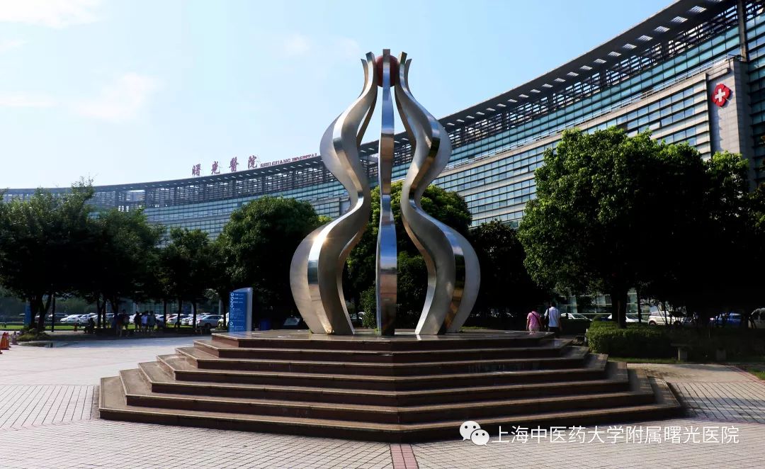 上海中医药大学附属曙光医院(东院)地址:上海市浦东新区张衡路528号