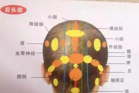 快速疏通头部经络排出头部毒素,预防脑中风和老年痴呆.