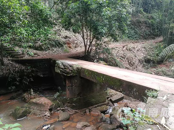 ĩԼ,ȥ춴ĺϸ