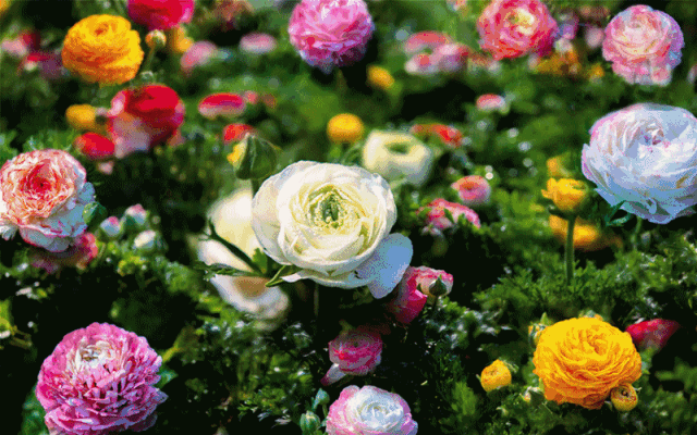 640_400gif 动态图 动图