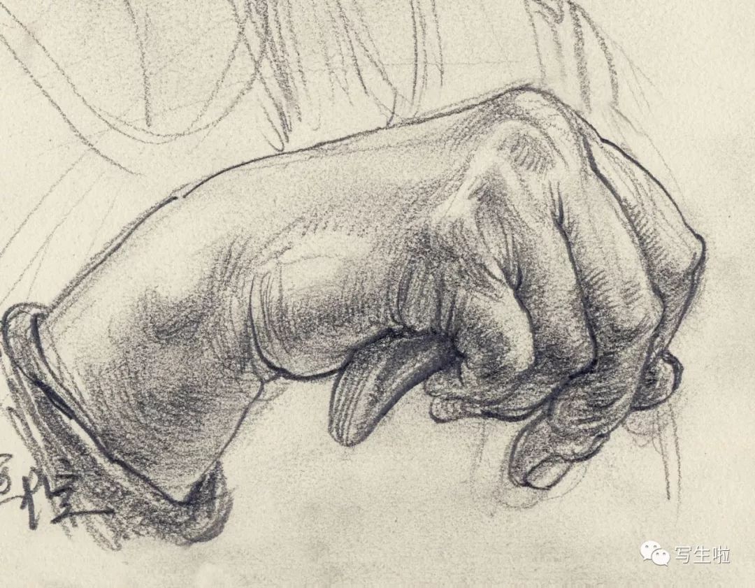 【写生啦】素描里的手