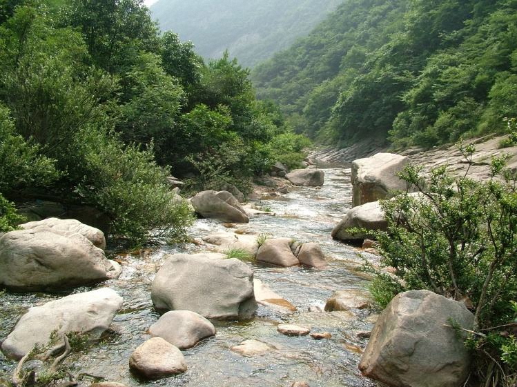 信阳黑龙潭:品正品毛尖茶,体验爽朗的五月,看三潭流潺如水美景