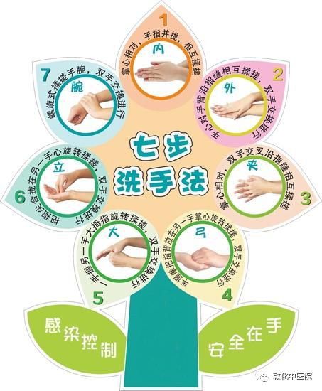 【世界手卫生日】从手做起,用行动呵护健康