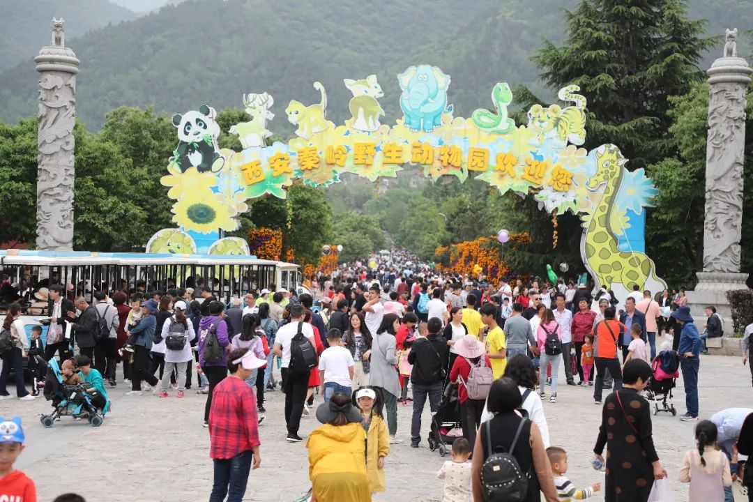 開園15週年熱度榜前三秦嶺野生動物園致力文旅生態發展