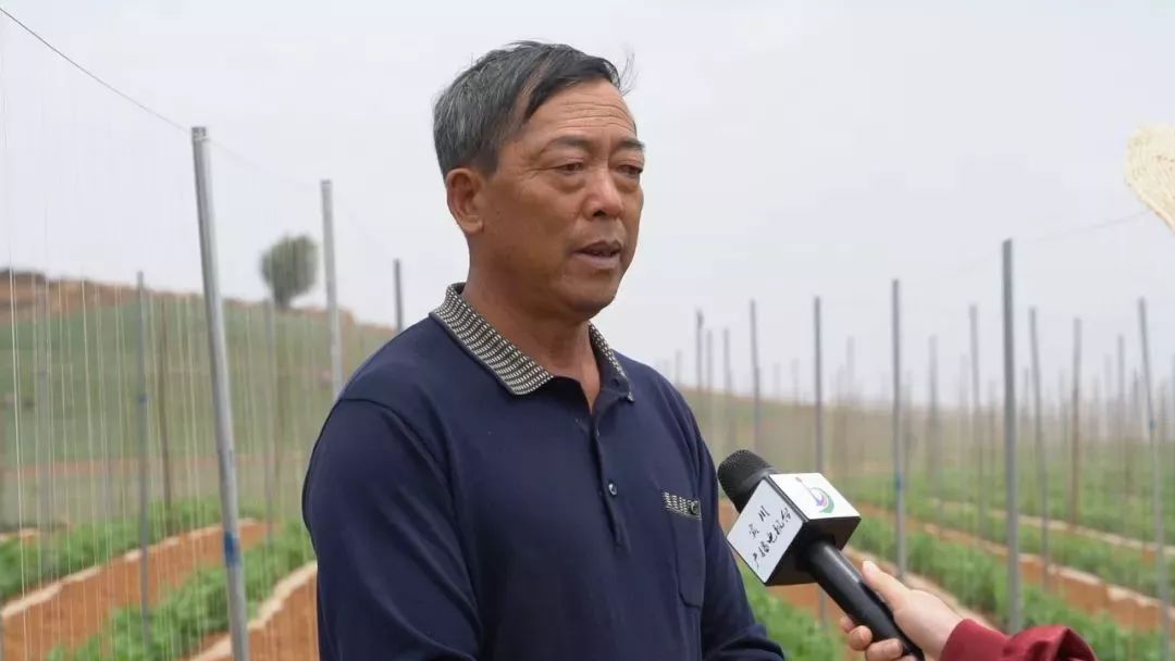 宾川这地方以钢代桩让村民既要金山银山也要绿水青山