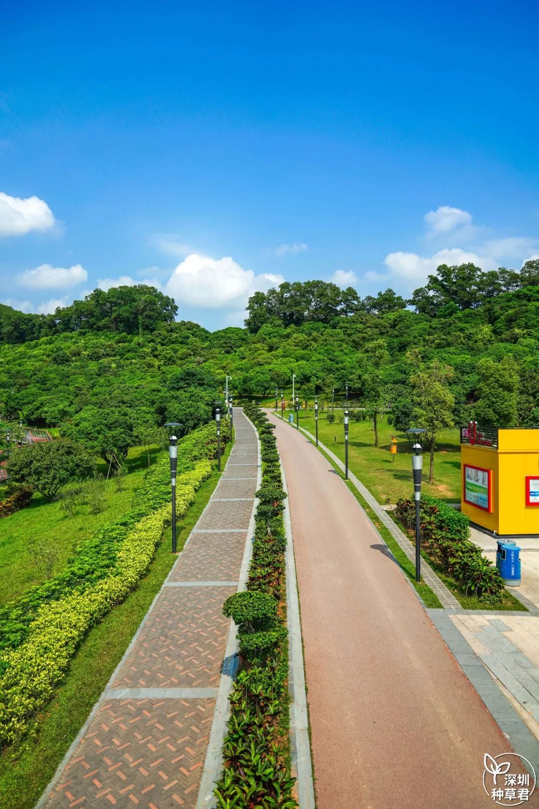 深圳藏了个"小西湖",「空中长廊 花海 湖景」美如画!_公园