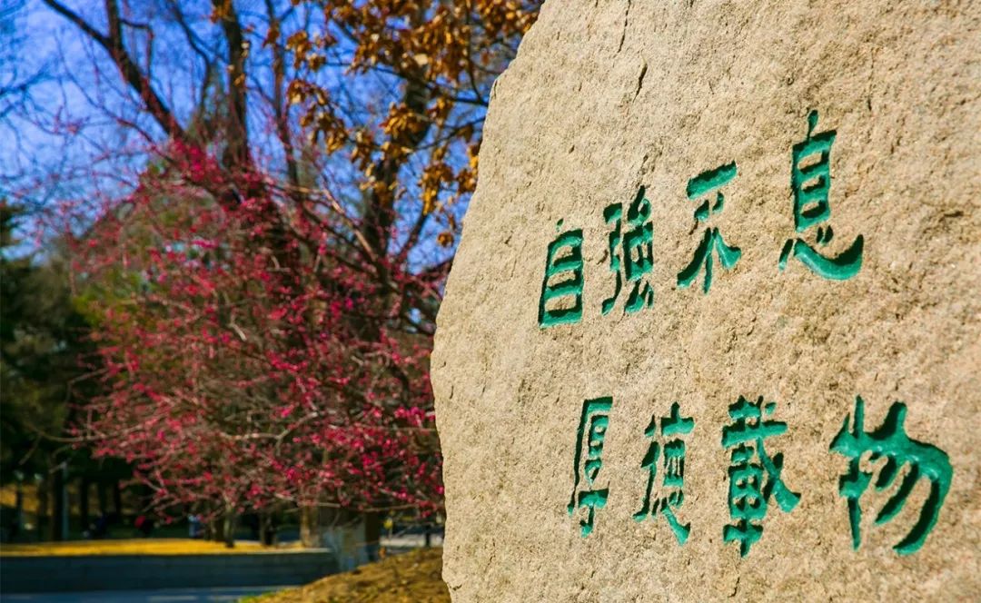 清华师生以"自强不息,厚德载物"的校训自励自勉,演绎出"行胜于言"的