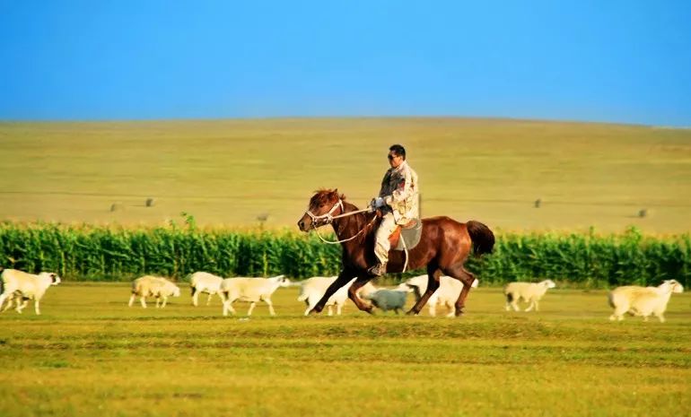 第五天:中俄边境公路--扎赉诺尔--满洲里由于昨天经历了马背生活,今天