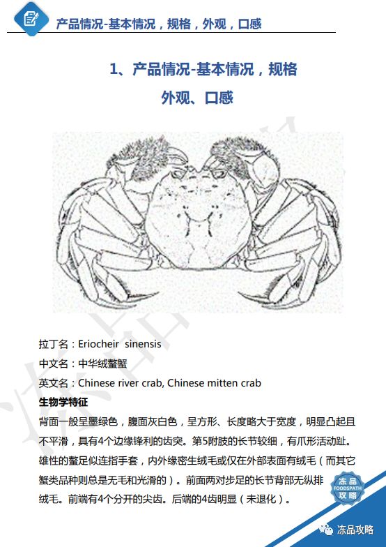 中华绒螯蟹生长周期图片