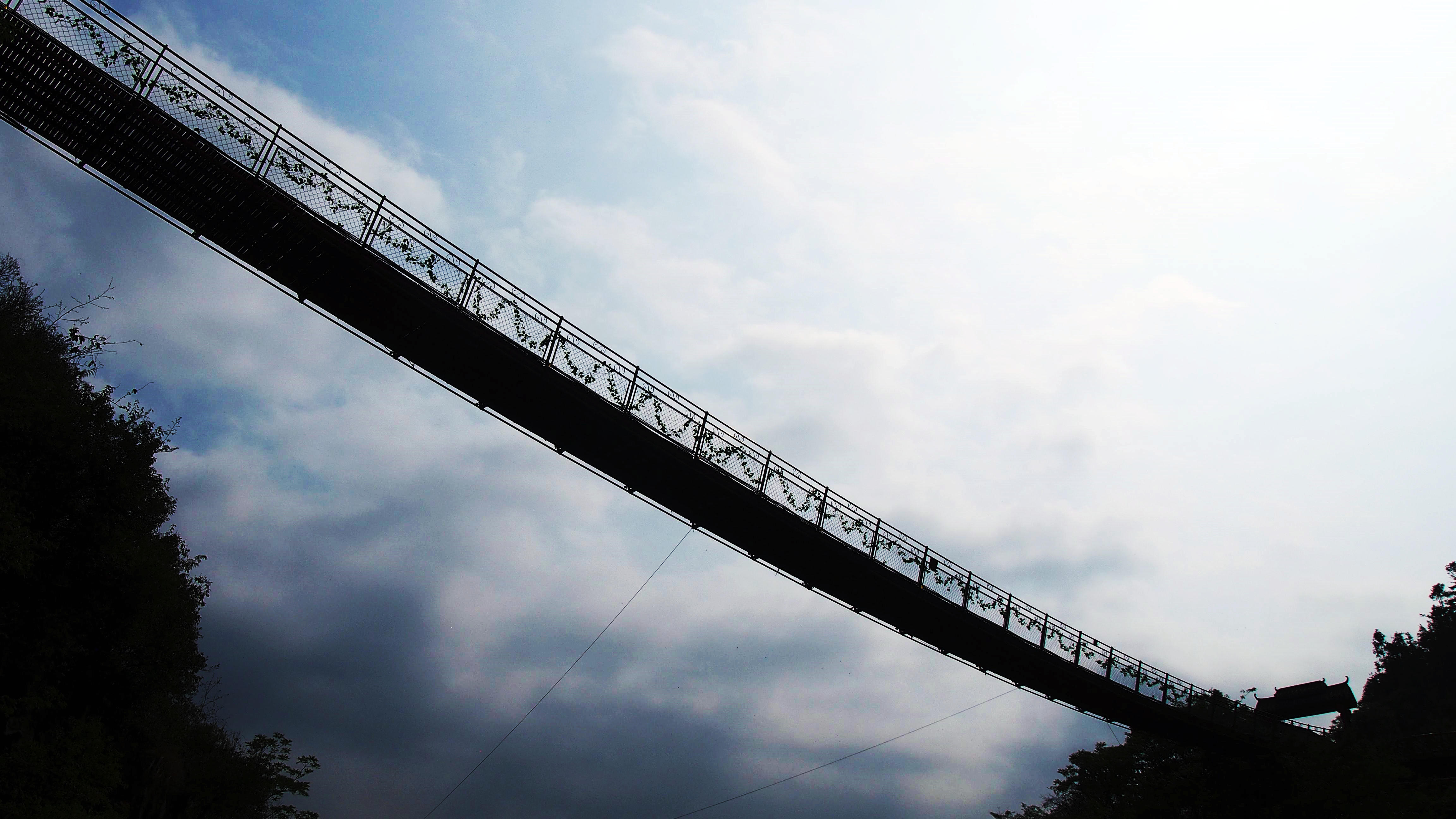 这里是全国最长的铁索桥，听说走过就有好运_龙麒源