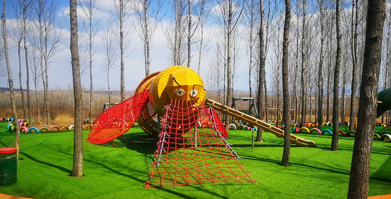 闯入巨型昆虫王国,走进奇妙儿童乐园