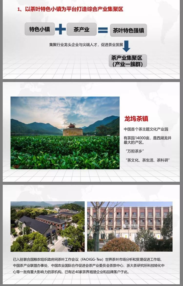 六茶共舞三产融合激活第六产业蓝海新经济