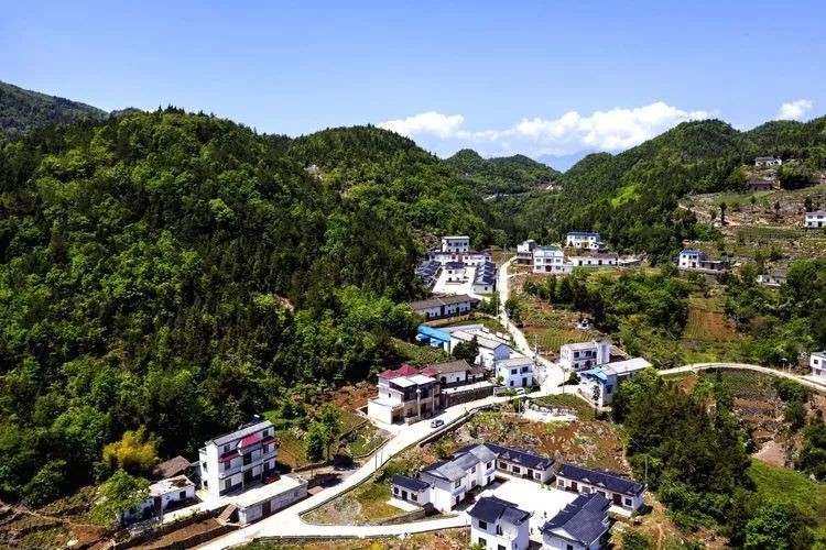 信陵鎮荷花村易遷點綠蔥坡野花谷易遷點野三關譚家村易遷點野三關石橋