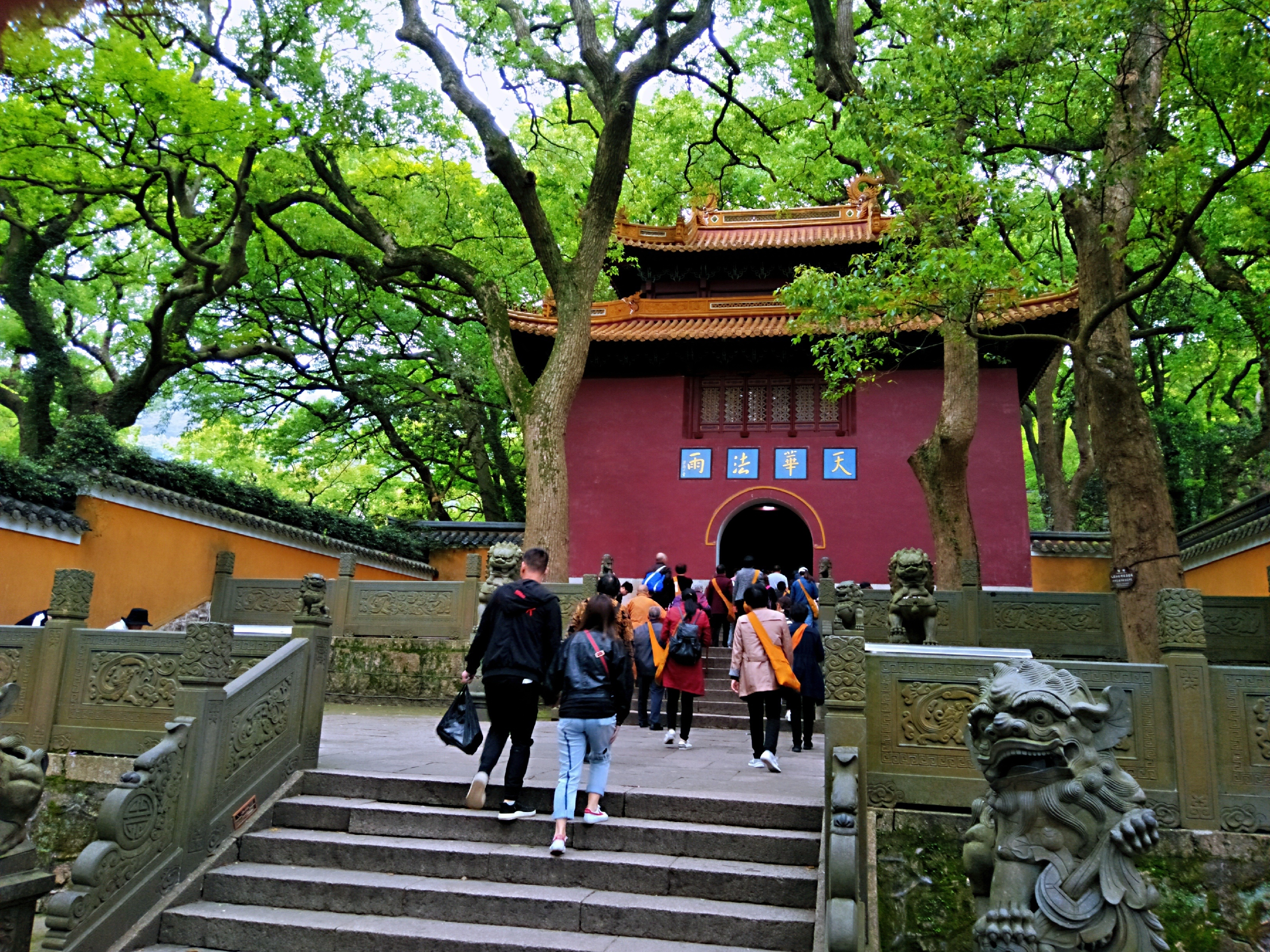 普陀山法雨寺图片大全图片