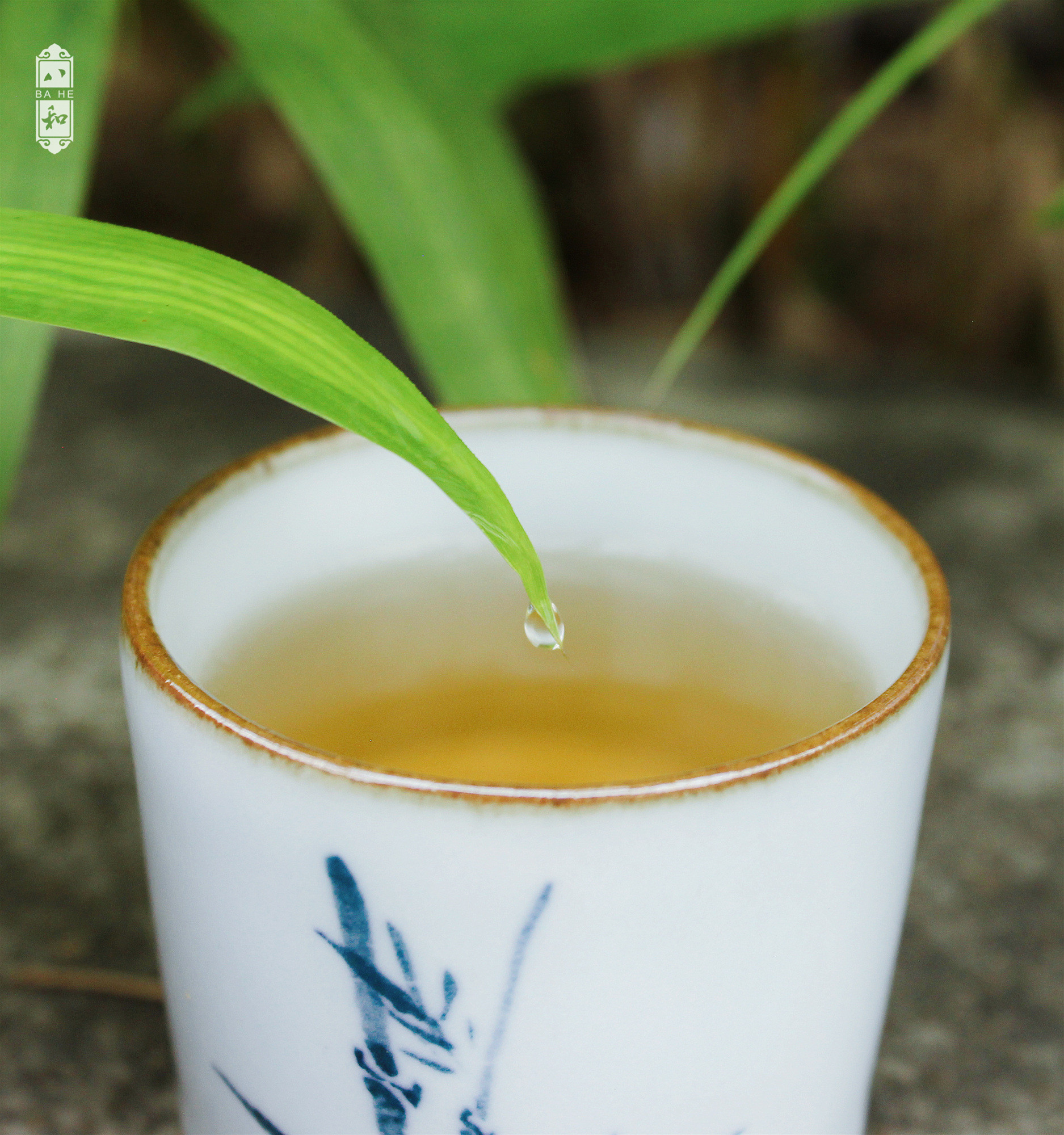 宋风古韵去年笋已长今年笱又生