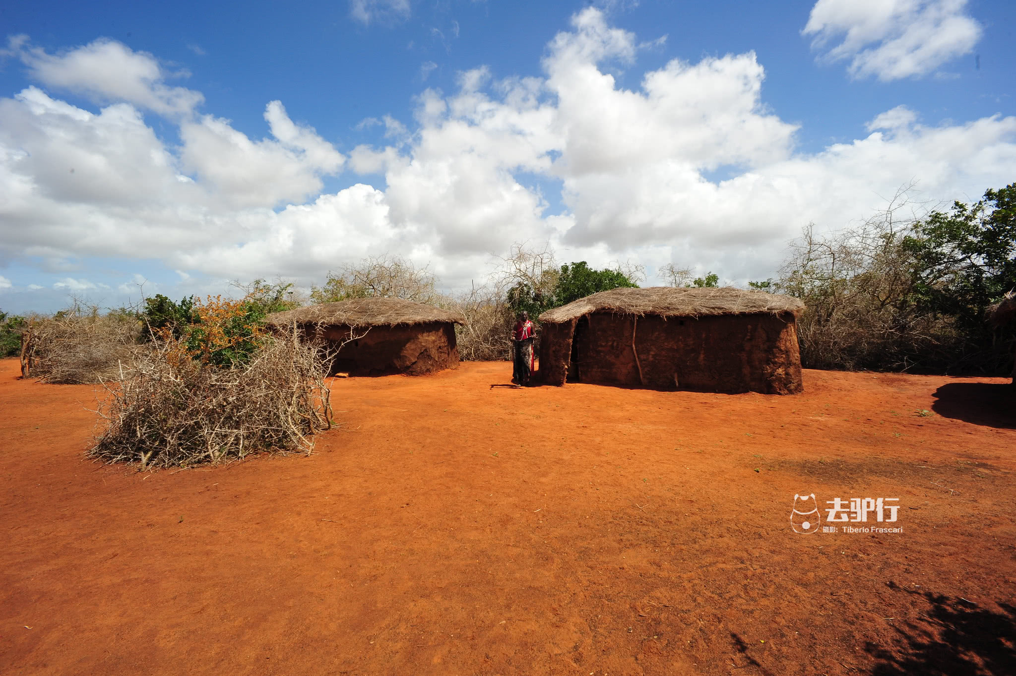 住在动物园的非洲部落:原始过渡到现代生活,年轻人拒绝一夫多妻