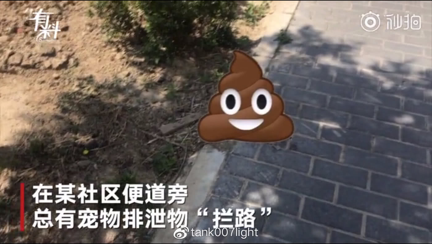 原创捡一斤狗屎可换一斤鸡蛋大妈换到店主缺货