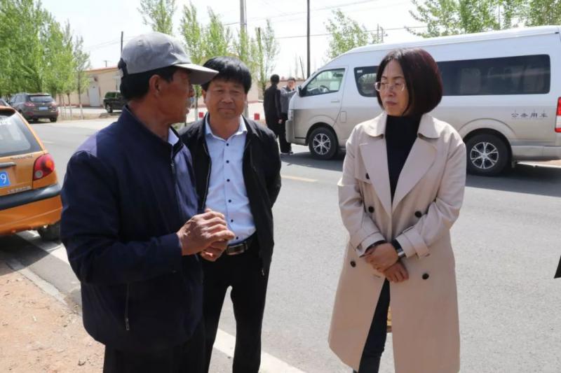 张如红调研临河区绿化工作