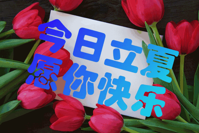 藏头顺口溜丨今日立夏快乐出发