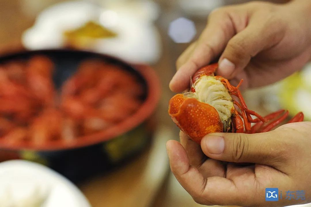 新职业剥虾师来了日挣200元半小时内剥完3斤小龙虾才能上岗