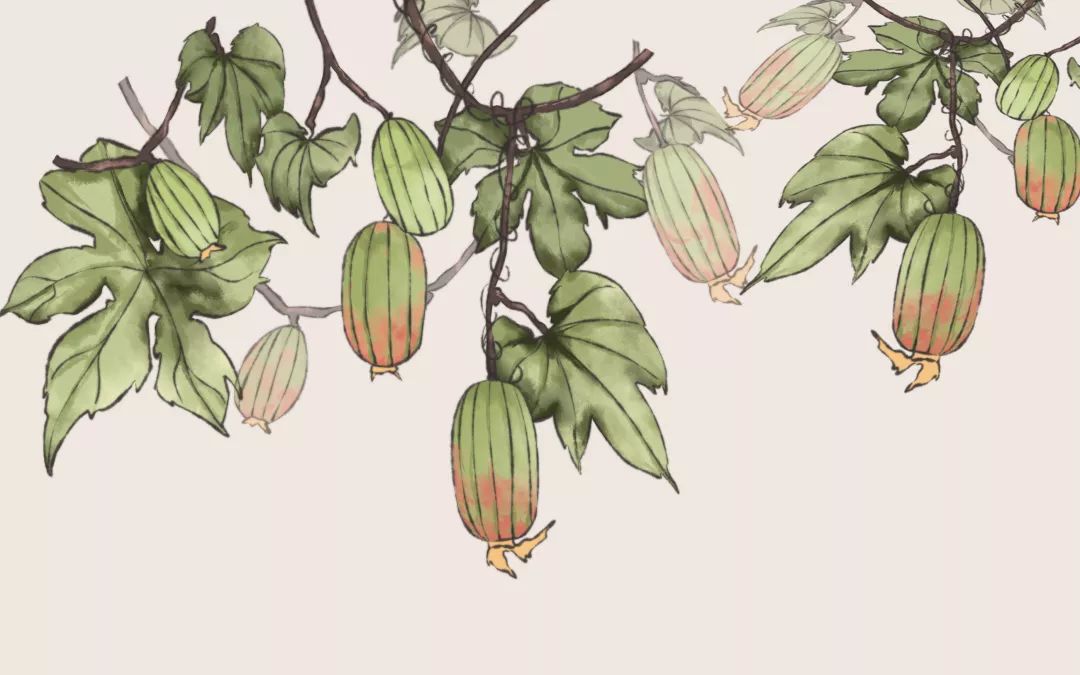 王瓜生钻出地面来凑凑热闹蚯蚓也忍不住当阳气极盛的时候蚯蚓常年居于