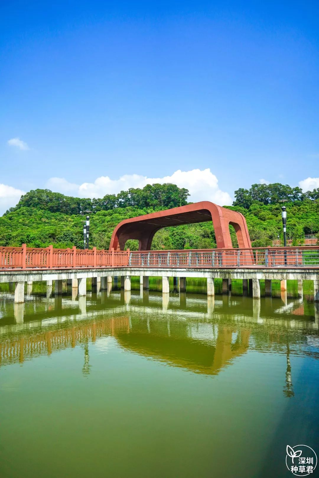 深圳藏了个"小西湖",「空中长廊 花海 湖景」美如画!_公园
