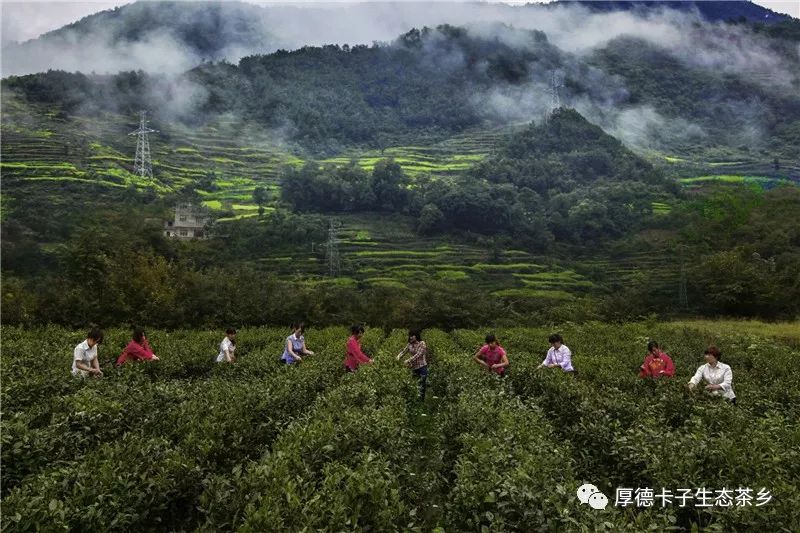 媒体聚焦通关过卡后的乡村向何处去白河县卡子镇生态与文化发展的经济