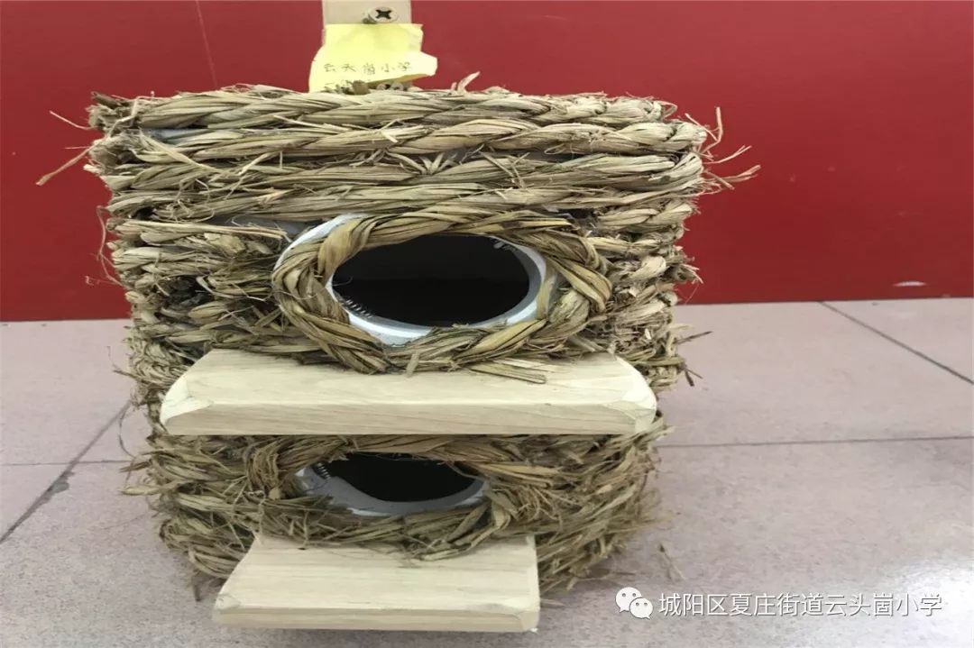 践行十个一小手拉大手共筑碧水蓝天青岛市城阳区夏