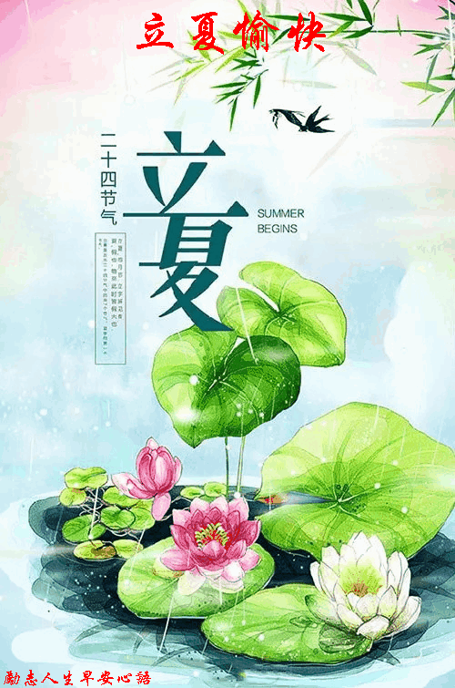 今日"立夏"把最美好的祝福送给您!