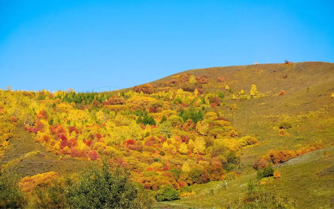 漫瀚调……除了这些耳熟能详的歌曲种类还有——蒙古族长调民歌在蒙古
