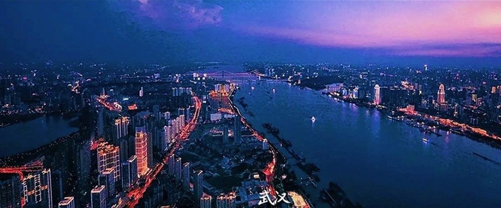 长江中下游城市群要想协调发展,加快生产要素的自由流通,并最终实现