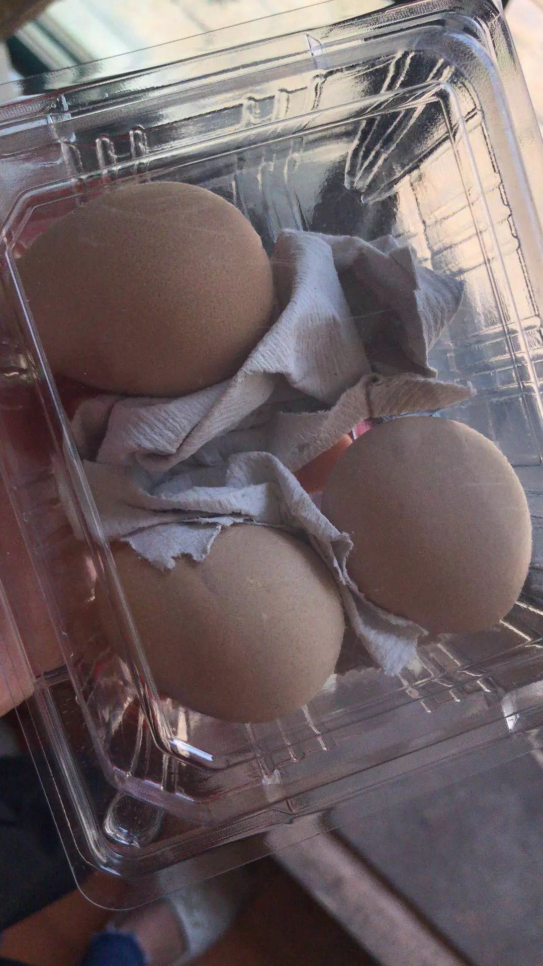 一年一度的奥林匹克斗蛋大赛开始了这届家长异常凶猛