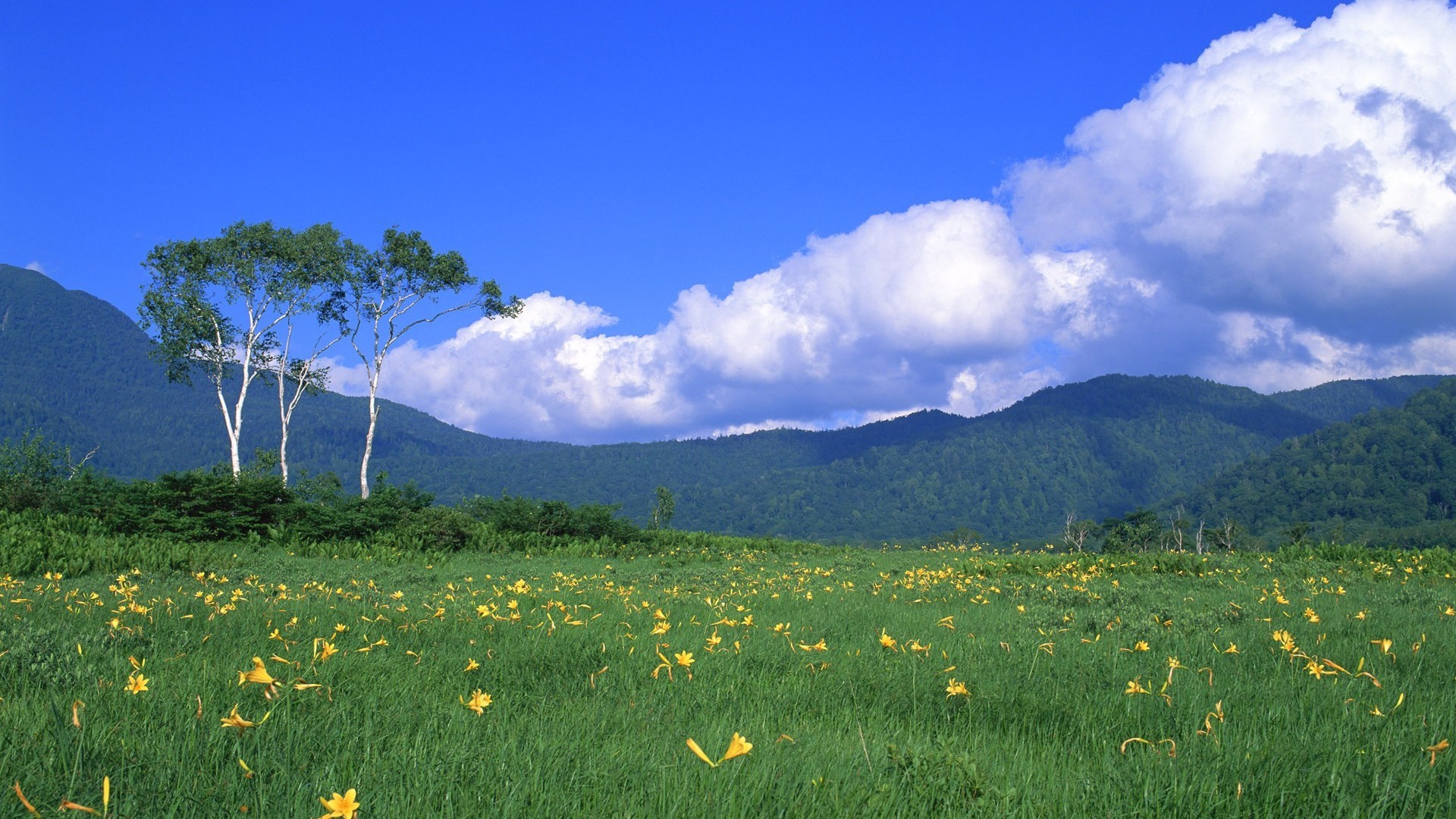 5月7号开始,鸿运当头,财顺福顺事业顺,大吉大利的三大生肖