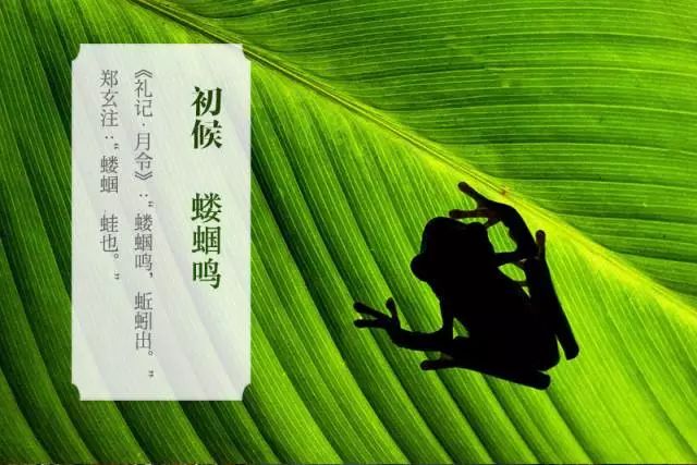 怡景丽家不觉春已逝转眼夏伊始