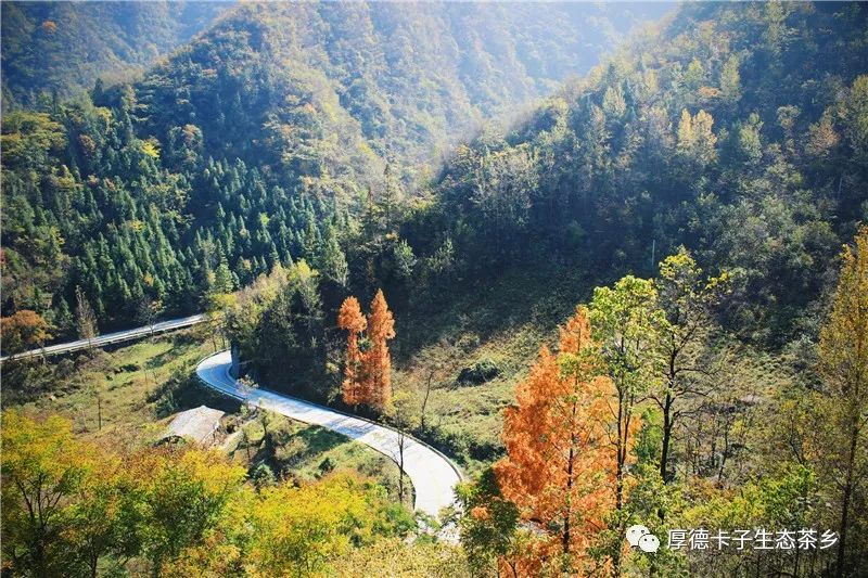 媒体聚焦通关过卡后的乡村向何处去白河县卡子镇生态与文化发展的经济