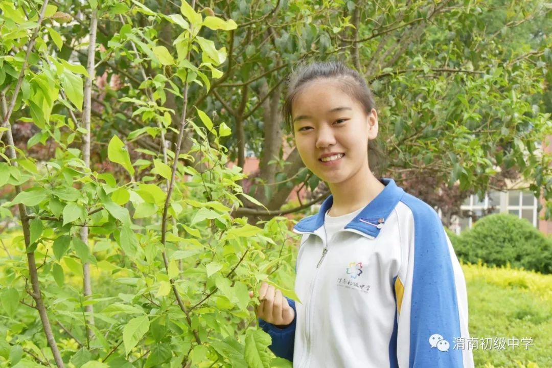 渭南初级中学八年级美德少年网上投票即日启动