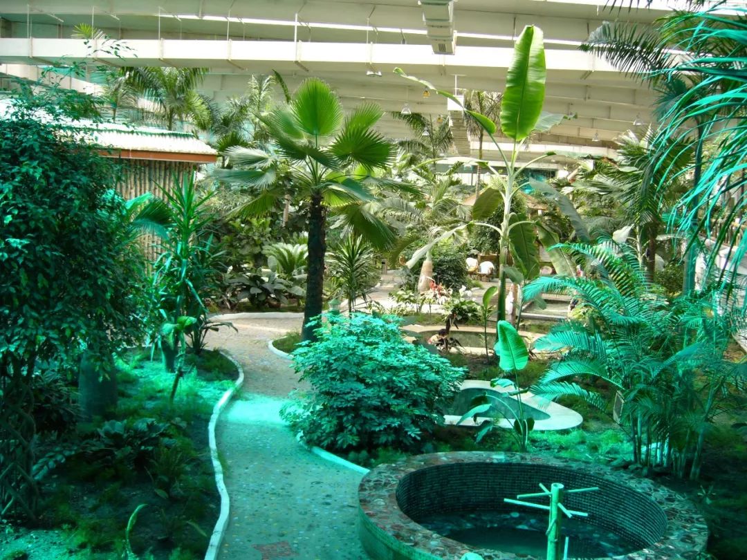 中国温泉博物馆阿尔山温泉群在阿尔山市区内,拥有冷泉,热泉,温泉,高热