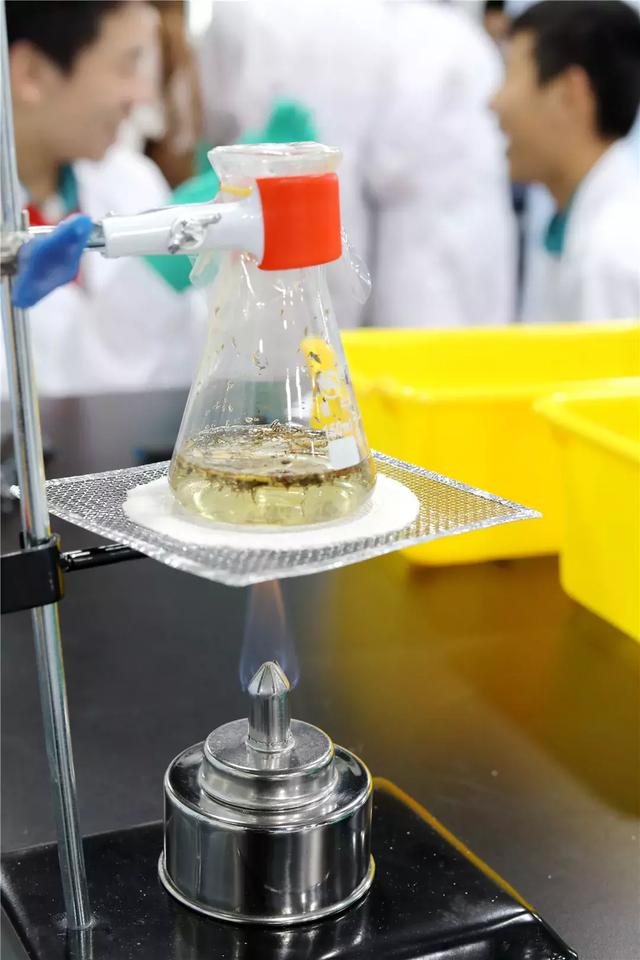 30分钟提取青蒿素黄埔这所学校的学生玩大了