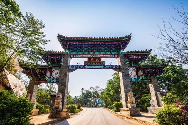 第十届易武"斗茶大会":高山5公斤15万,刮风寨5公斤30万.