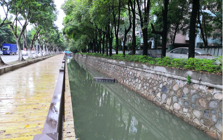 昔日臭水沟,今日景观带,洛浦街投入3.5亿,这些河涌越变越靓