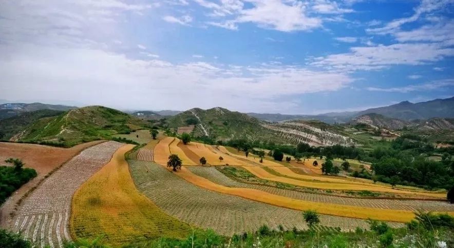 地址:洛寧縣下峪鎮抽空去看看,這些隱藏在市區周邊的絕美村落吧~綜合