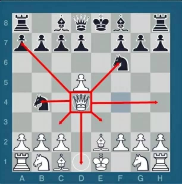国际象棋入门 基础的行棋规则